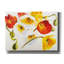 Art mural sur toile "Sunny vibrations" par Shirley Novak-1717726734