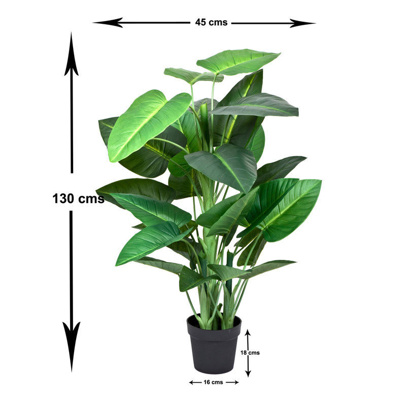 Plant, 136cm H x 21cm W x 21cm D