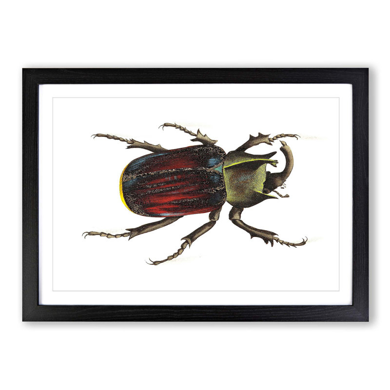 Typhon Beetle by George Shaw - Picture Frame Painting Print, Black Framed, 27cm H x 36cm W x 2cm D