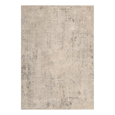 Indoor Rug