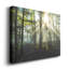 Lumière et arbres - photographie sur toile tendue-1844796687