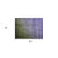 Tapis extérieur lavable antidérapant 2 pi x 3 pi vert olive et mauve