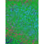 Fermeture sur Mars par Drew Gaffney - Peinture-132435482-65852391