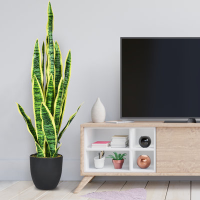 Duckworth 36 po Faux Snake Plant en pot