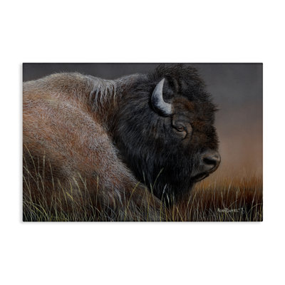 Détail d'une toile détaillée de bison par Kevin Daniel