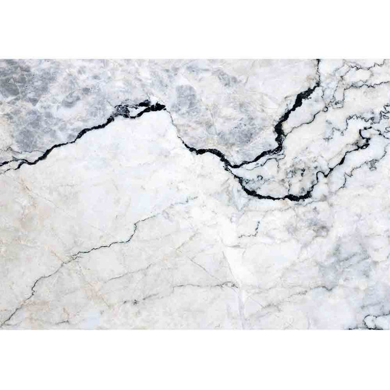 Peel & Stick Border, 66" L x 96" W