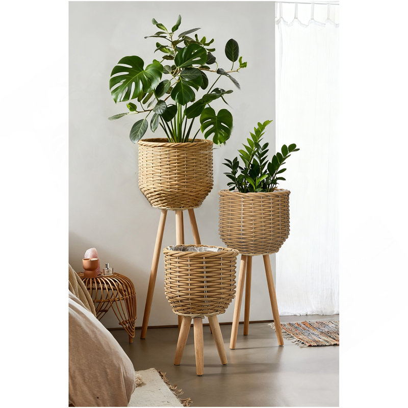 Ensemble de 3 paniers en rotin de polyester brun avec texture de corde et pieds effilés en bois, Brun