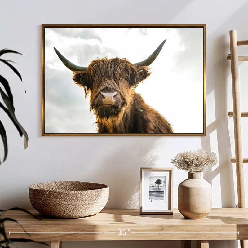 Image de vache, Cadre flottant doré, 25 po x 17 po