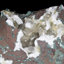 Objet de décoration Jellisa