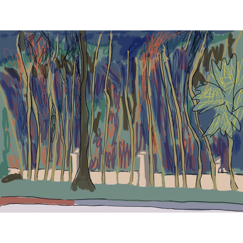 Naked Branches Print by Deborah Blum, 24" H x 32" W