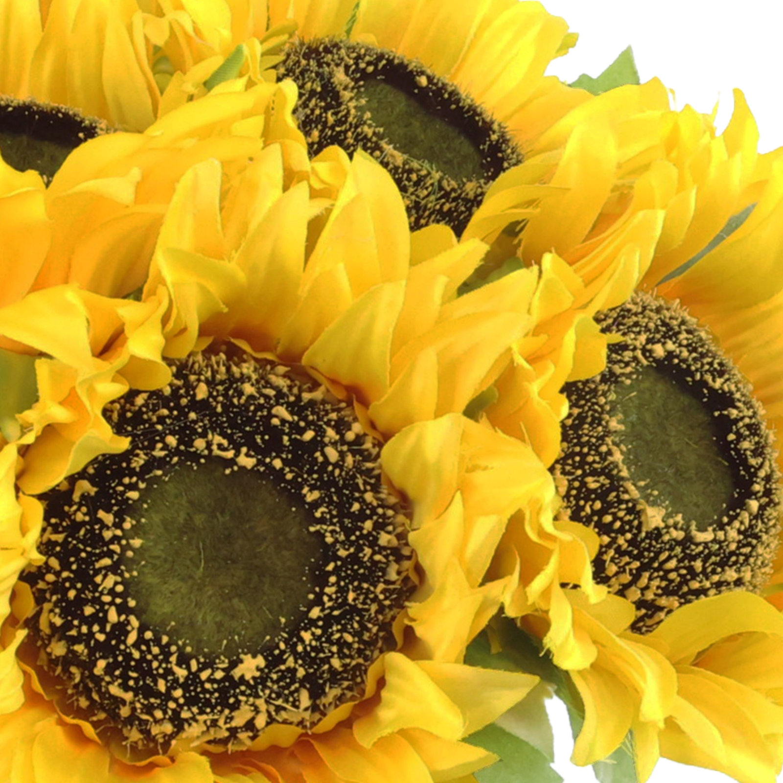 Cummins Sunflower Floral Arrangement, Yellow