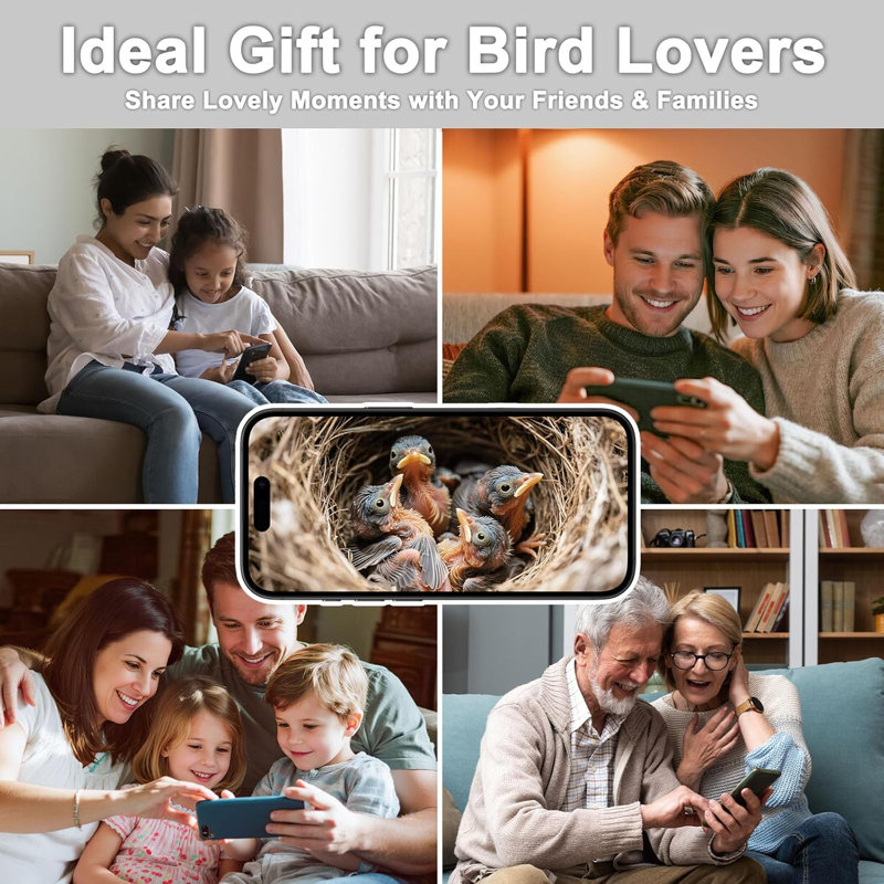  Maison d'oiseaux solaire avec caméra - 2K HD Smart Birdn