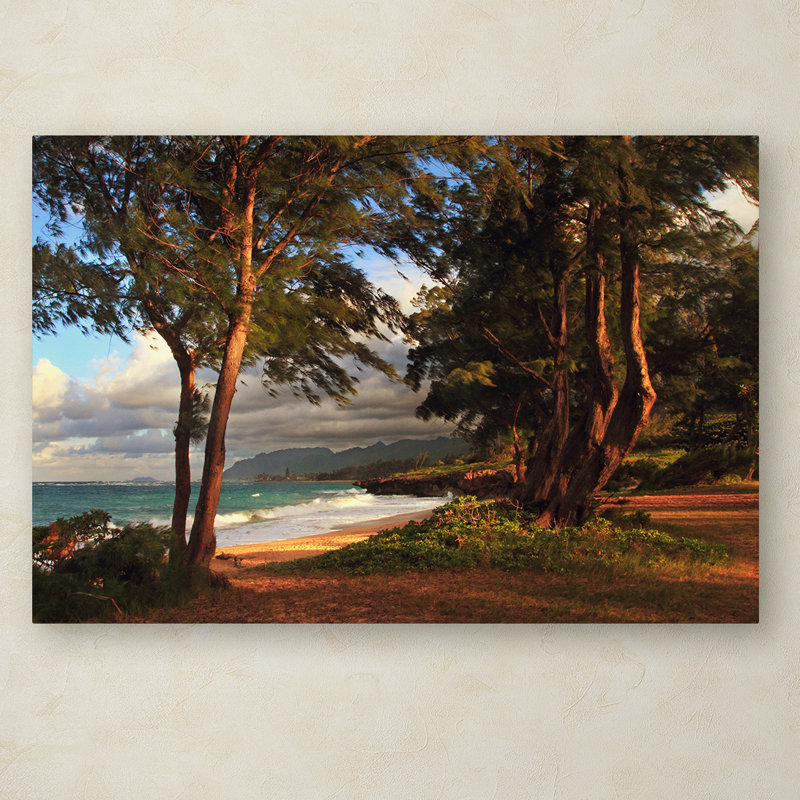 «Joden Hawaii 5» par Jason Shaffer, reproduction de photo sur toile tendue, H 12 po x l 19 po x P 2 po