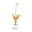 Tulip Stem in Stand