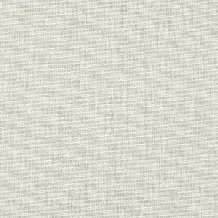 Endless Summer Canvas Fabric, Linen