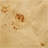 43.31 Inch Burl Wood Veneer Coffee Table,Rectangle Mid-Century Modern Table For Living Room,Coffee Table With Sturdy MDF Pedestal For Office,Apartment,Natural-708326970