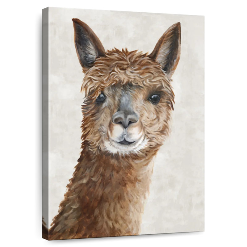 Brampt Suri Alpaca II, 12" H x 8" W
