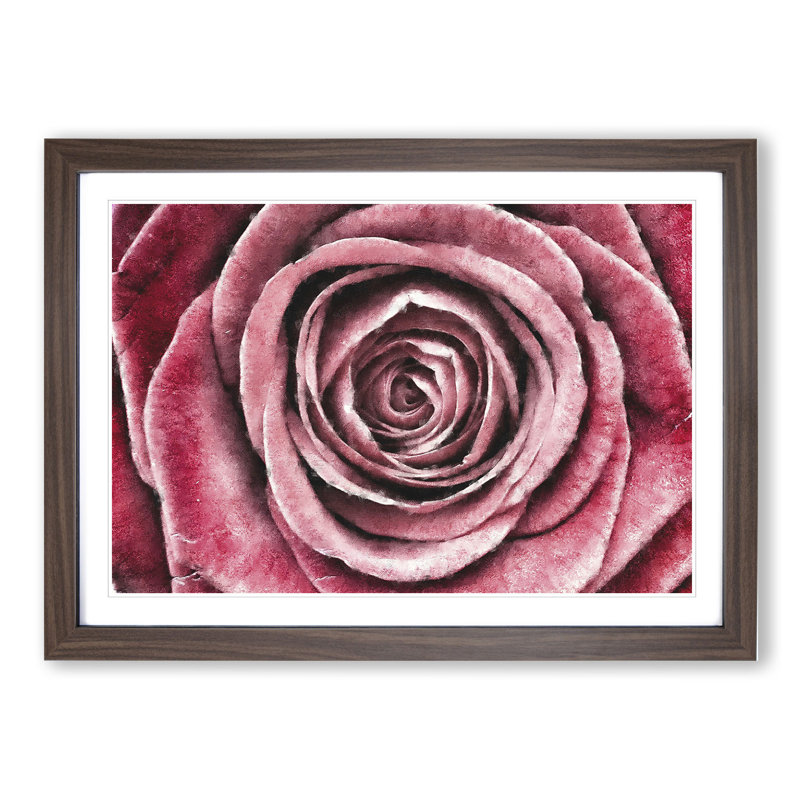 Pink Rose Flower Vol.2 - Framed Print, Walnut Framed, 27cm H x 36cm W x 2cm D
