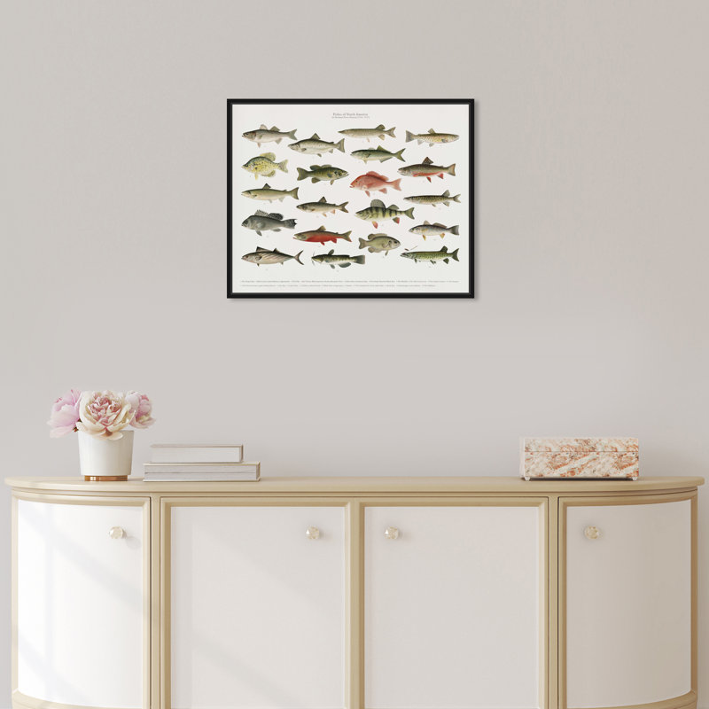 Poisson américain - peinture sur toile, H 20 po x l 17 po, Cadre noir
