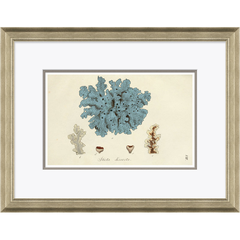 Blue Coral Giclee Print by Paul Cezanne