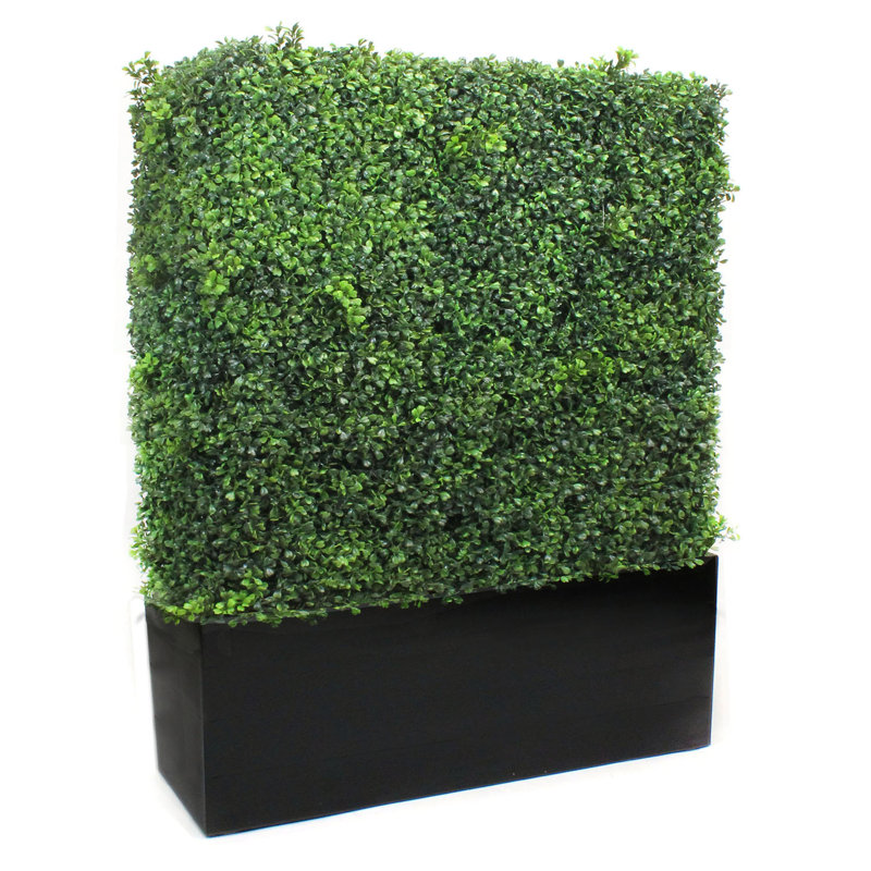 Faux Boxwood Hedge in Wood Planter, 48" H x 40" W x 10" D, Black