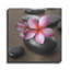 «Zen Pebbles 4» par PhotoINC Studio-704316820