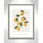 Amalfi Lemons - cadre photo, impression-66318803-66318807