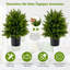 55cm Faux Pine Plant in Pot