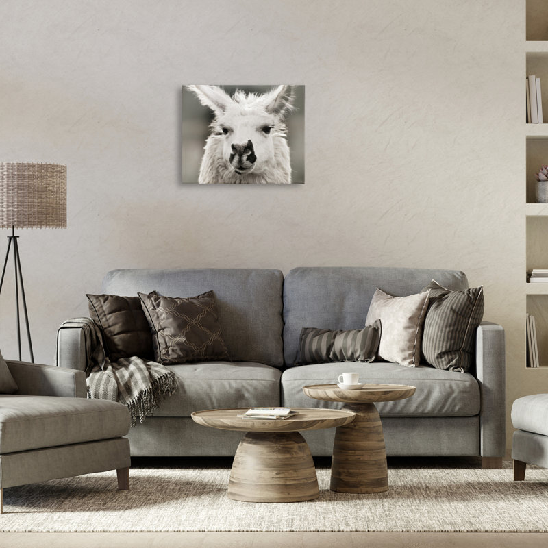 «Llama Gazing Portrait», art mural sur toile par Danita Delimont, H 16 po x l 20 po
