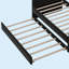Lit de jour simple capitonné et rembourré avec couchette, canapé-lit en velours avec ports USB et ports de charge de type C, aucun sommier nécessaire-785034110