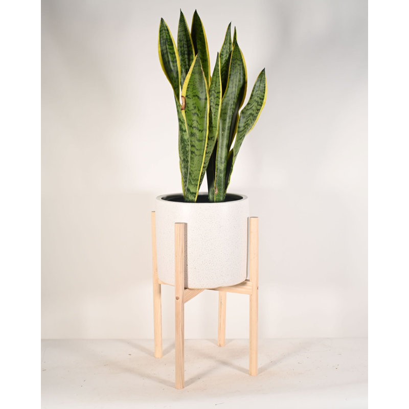 Pot à fleurs en céramique Heitman, Naturel