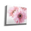 «Pastel Gerbera Daisies» par Elise Catterall, estampe numérique sur toile-2092221508