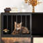 Maison de chat Finnen