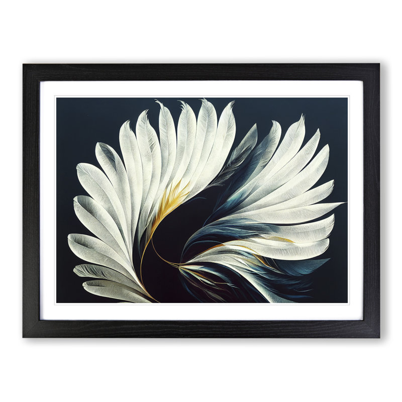 Attracting Bird Feathers - Framed Print, Black, 25cm H x 34cm W x 2cm D