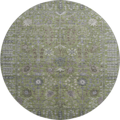 Premium Machine Washable Mayfield AMF2231 Global Rug
