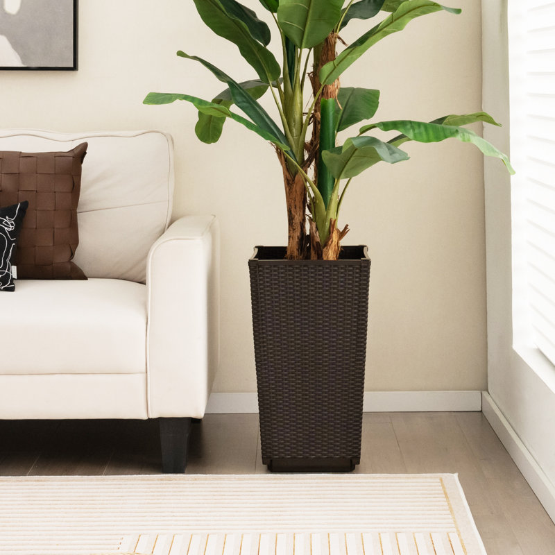 Pot Planter, Coffee