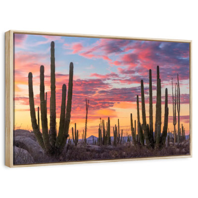 Baja California Sunrise