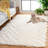 Dabria Wool Chevron Indoor Rug-296087545
