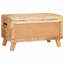 Camp Trunk / Footlocker-4186715