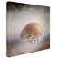 «Sea Shell and Pearls» de Vidur, impression sur toile tendue-22073589
