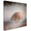 «Sea Shell and Pearls» de Vidur, impression sur toile tendue-22073592
