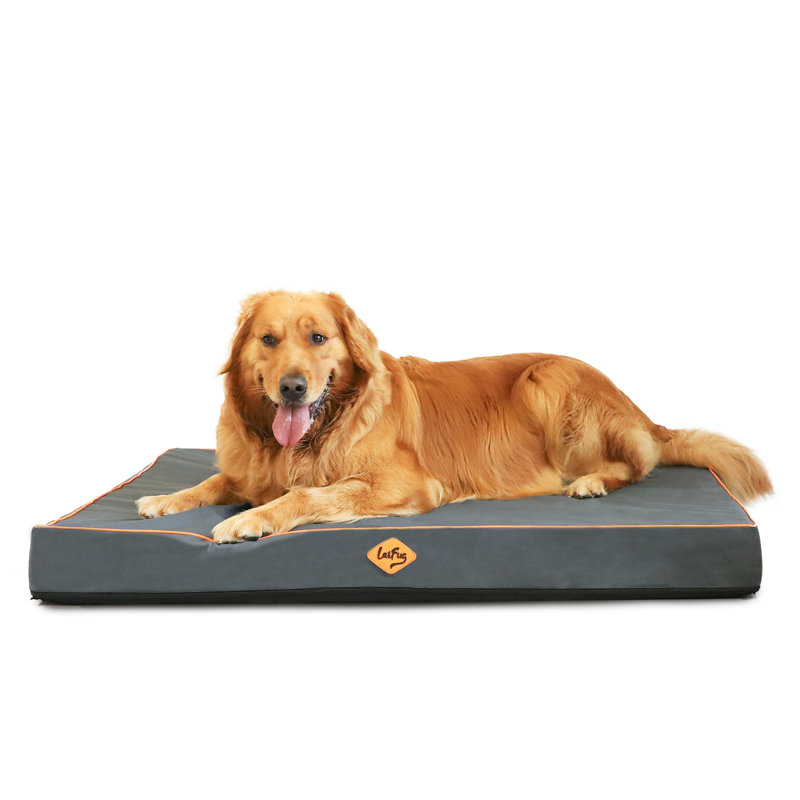 Polyester Pet Bed, 4" H x 44" W x 32" D
