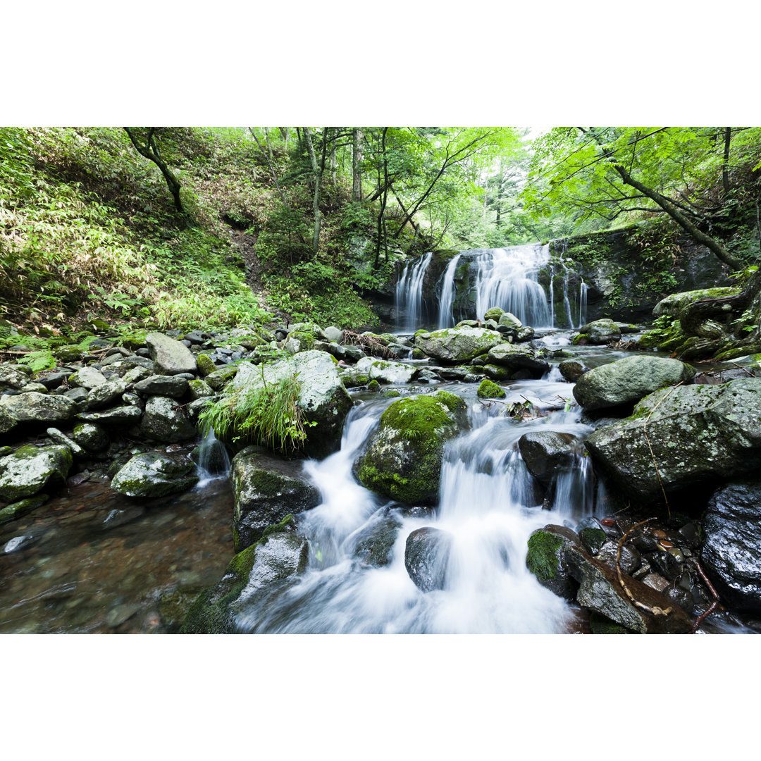 Wasserfall und Gebirgsbach im Sommer