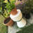 PaHeKo KO Accent Stool-14538931