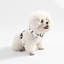 Harnais pour animal de compagnie Arlo-112400954
