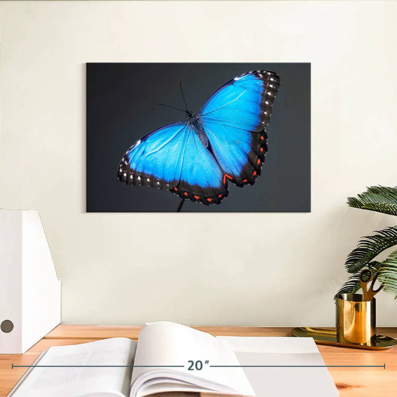 Brampt Blue Morpho Butterfly, 8" H x 12" W