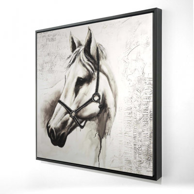 «Flicka le cheval blanc»