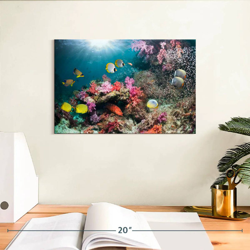 Andaman Sea Life, H 8 po x l 12 po