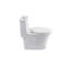 Toilette monobloc Tornado Flush