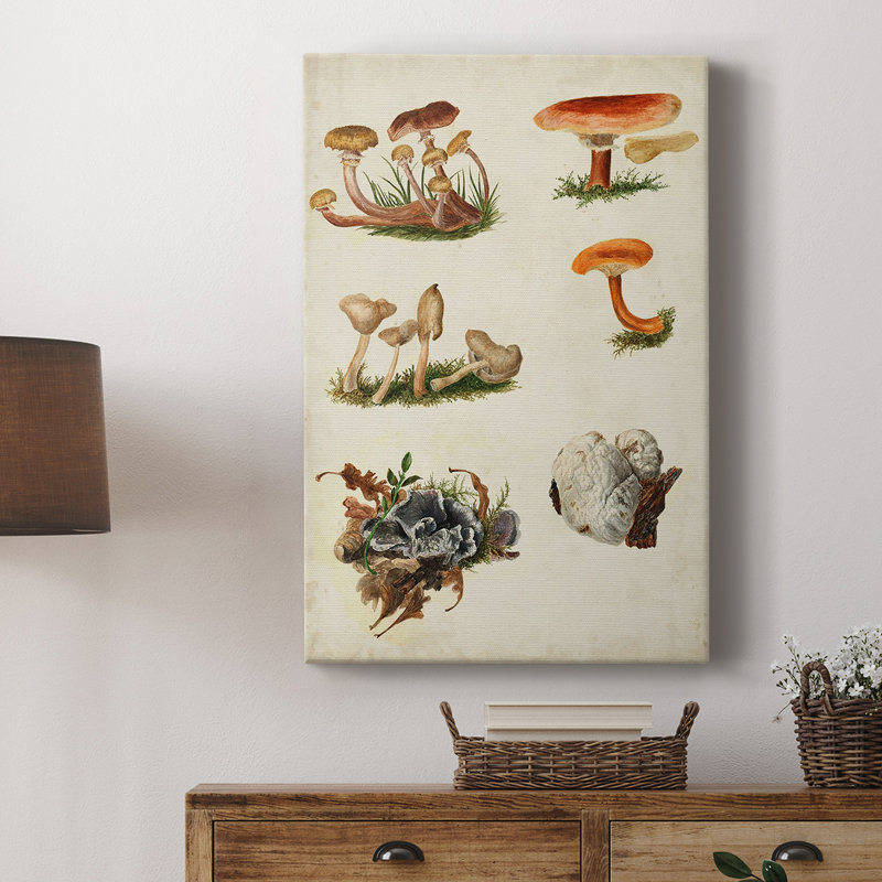 Mushroom Species X - Gallery sur mesure, H 18 po x l 12 po